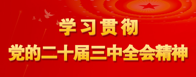 学习贯彻党的二十界三中全会精神